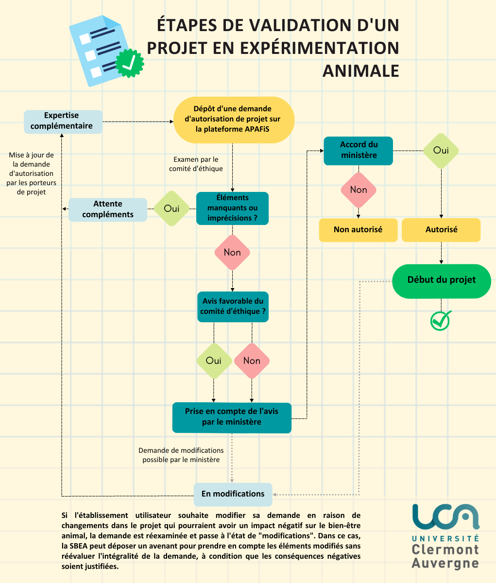 Étapes de validation d'un projet en expérimentation animale