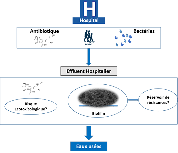 L’hôpital, lieu d’échange entre les malades et l’environnement?